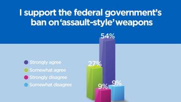 Gun Ban
