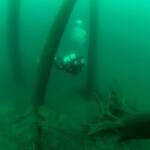 Scuba Diving