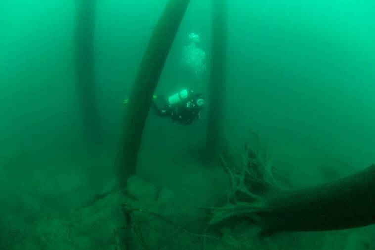 Scuba Diving