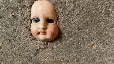 Doll's Face